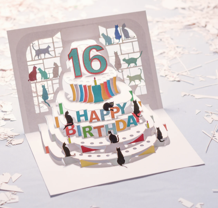2025 16th Birthday Gift Guide!