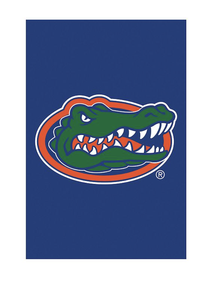 NCAA Flag