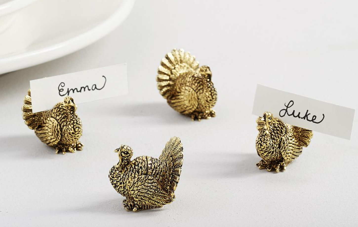 Turkey Name Card Holders