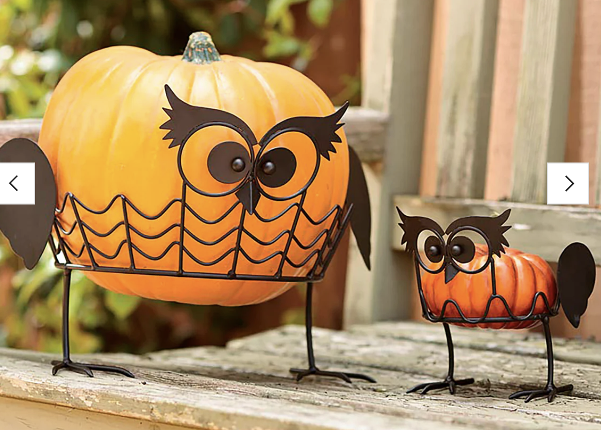 Pumpkin Owl Holders