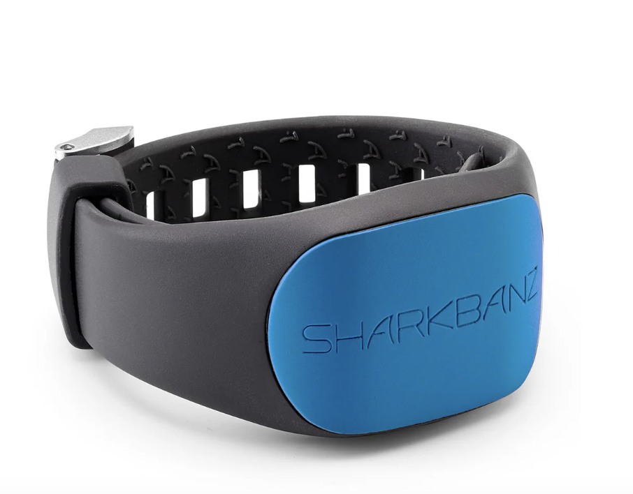 Shark Banz