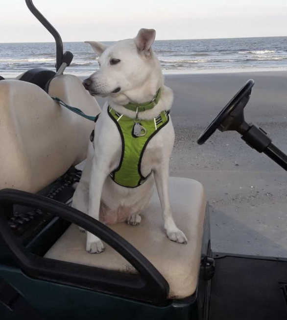Golf Cart Tether