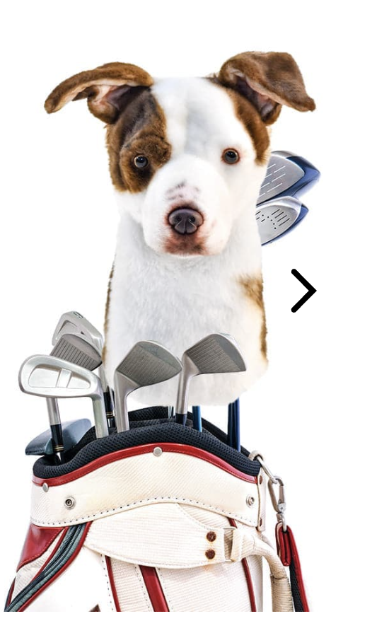 Cuddle Clone Headcover