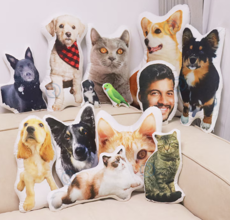 Pet Pillow