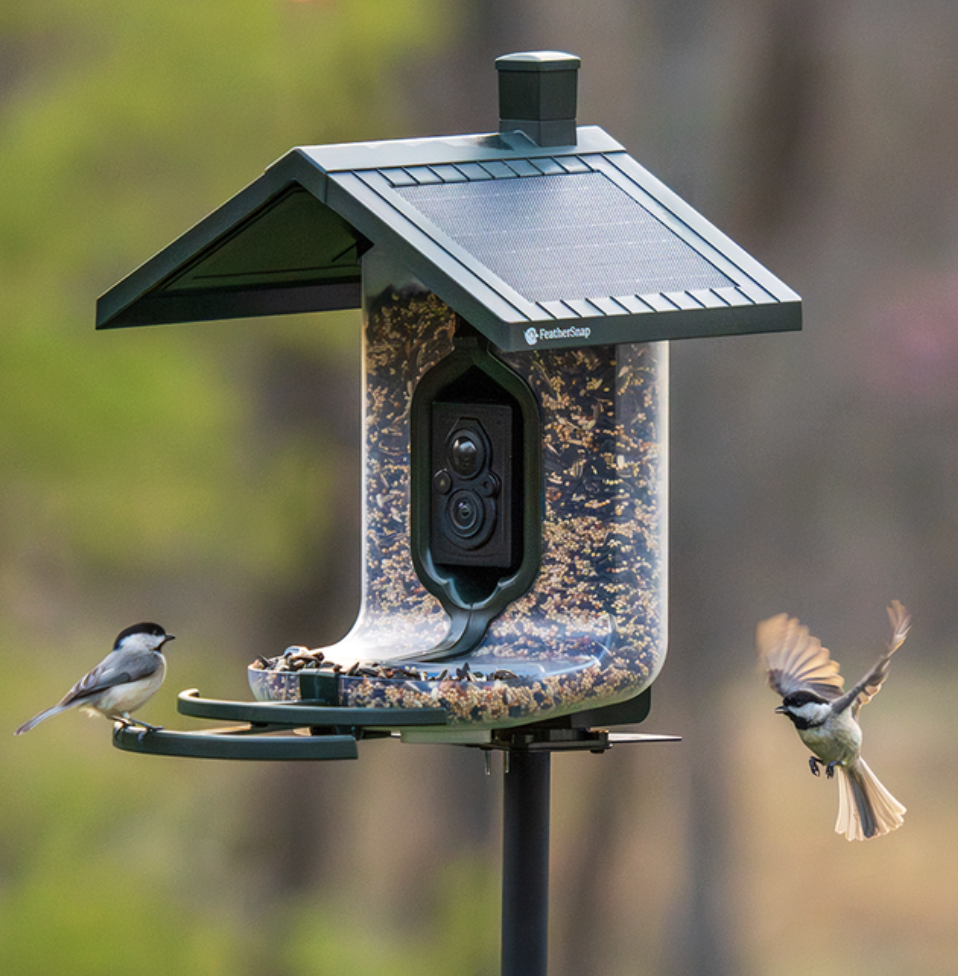 FeatherSnap Scout Bird Feeder