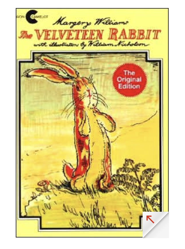 Velveteen Rabbit