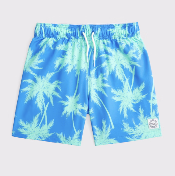 Abercrombie Boys Trunks