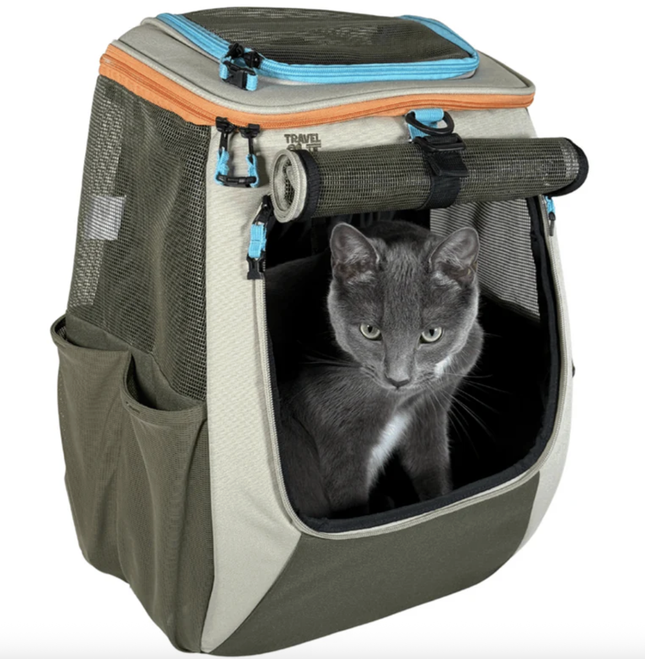 Cat Backpack