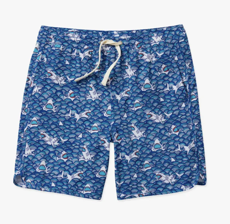 Fair Harbor Boys Swimsuit