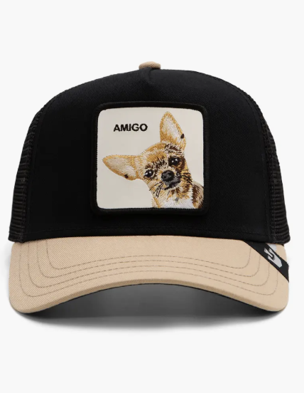 Goorin Trucker
