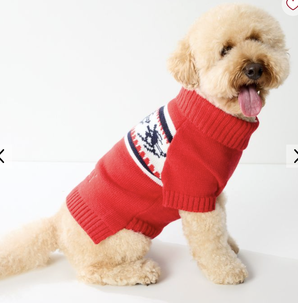 Dog Sweater