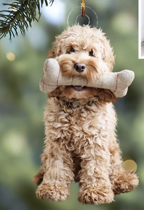 Personalized Pet Ornament