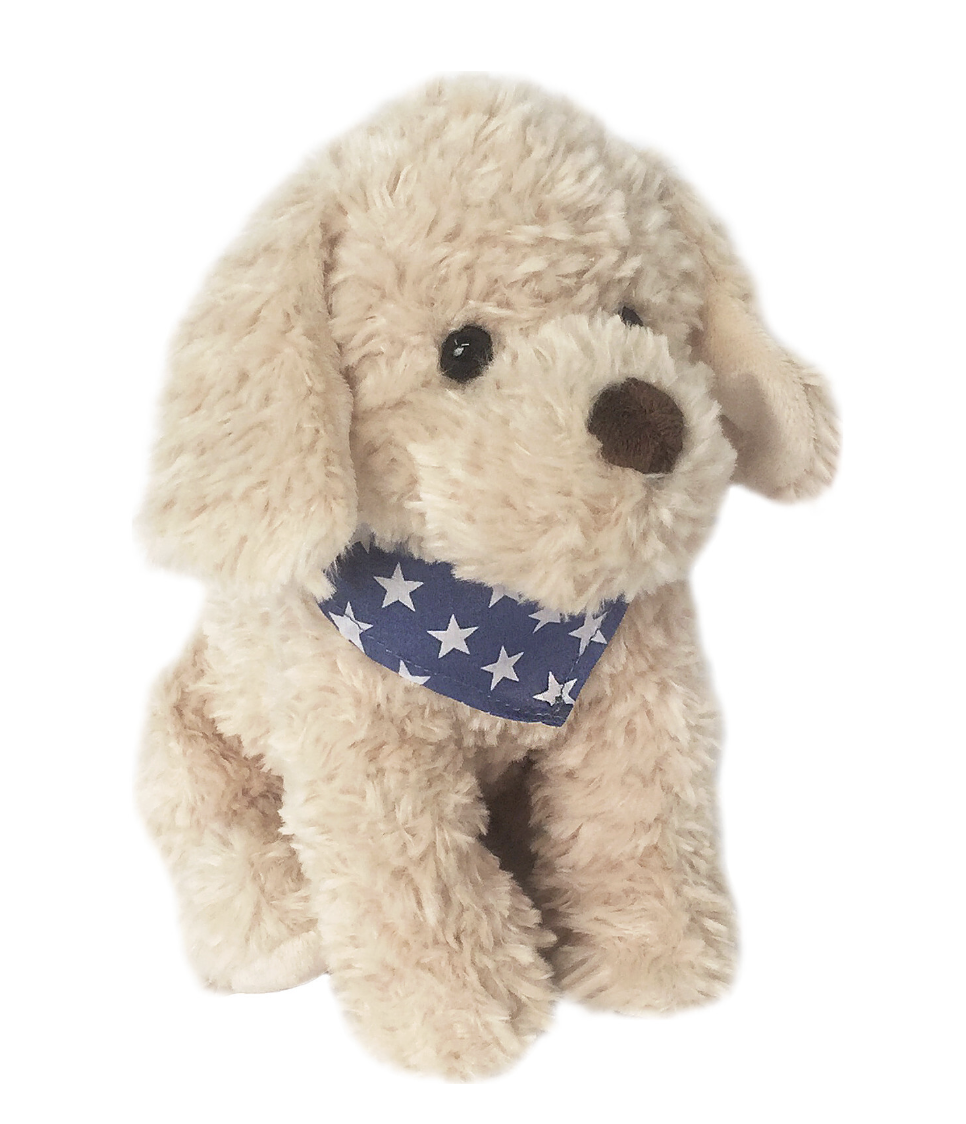 Bentley the Golden Doodle