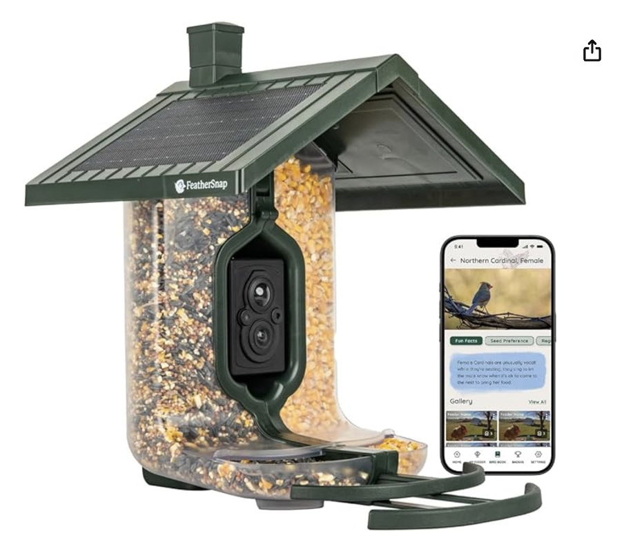 Scout Bird Feeder