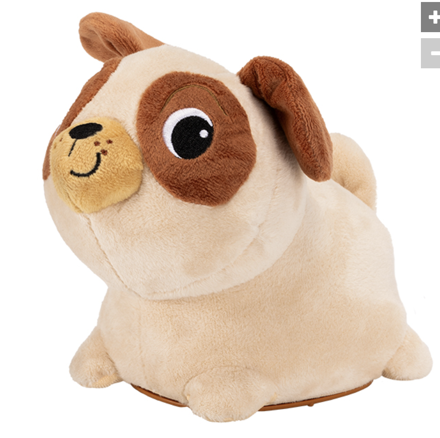 Pip the Pug