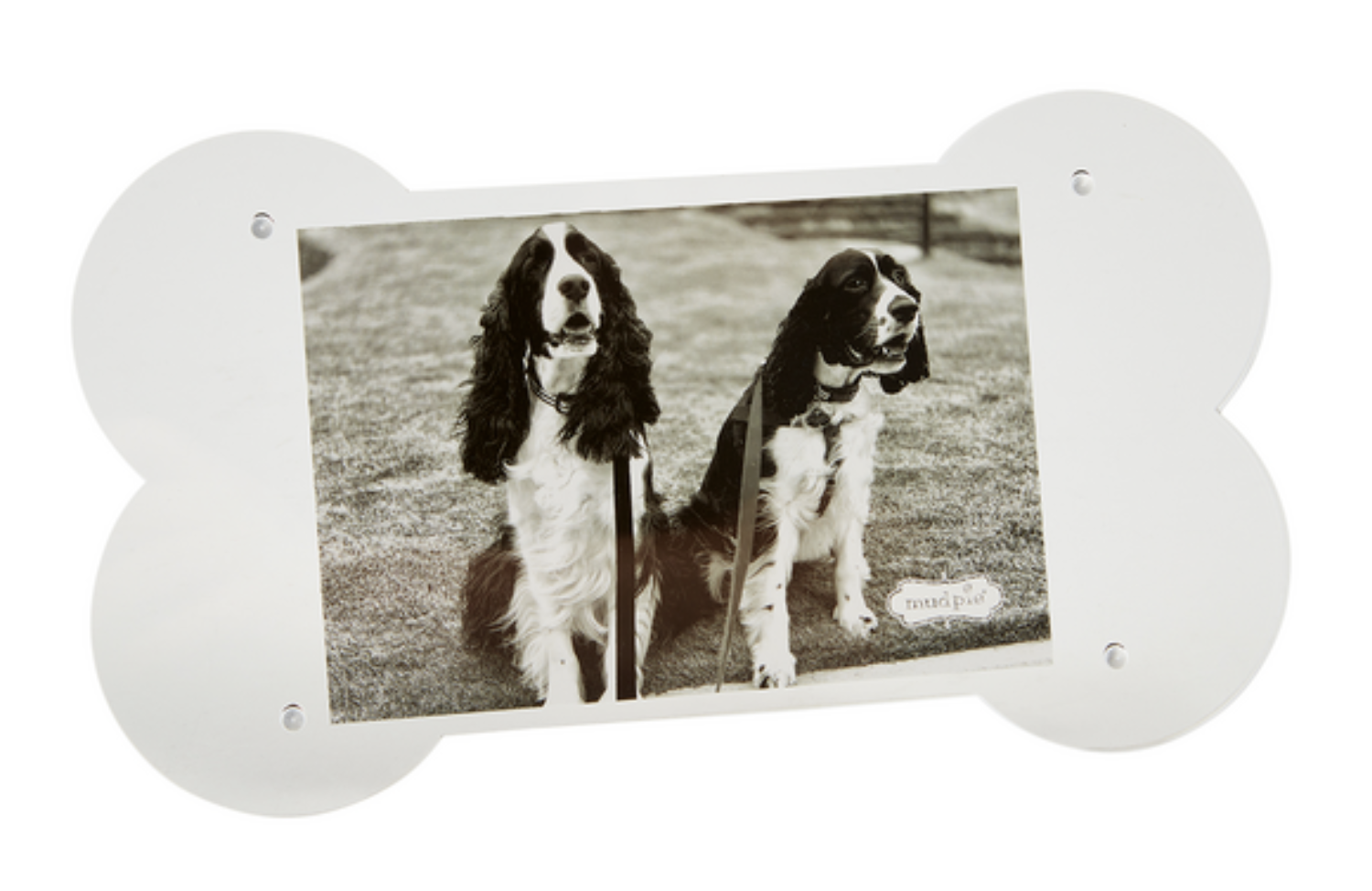 Acrylic Dog Bone Frame