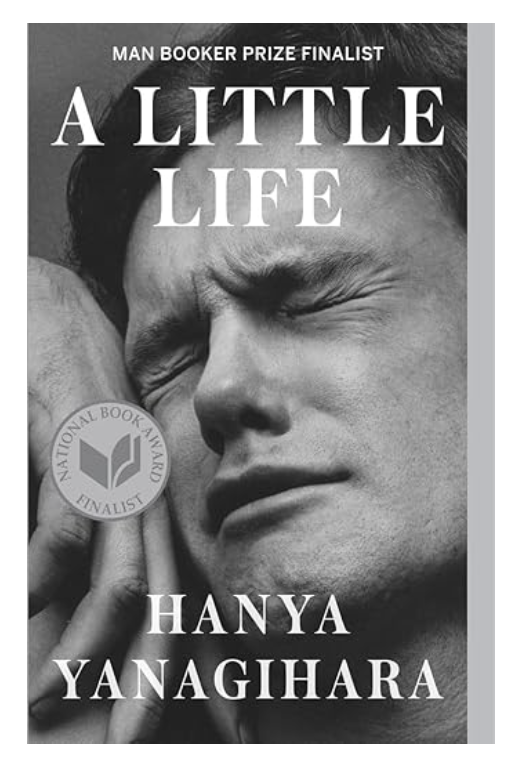 Amazing (tough) ~ A Little Life