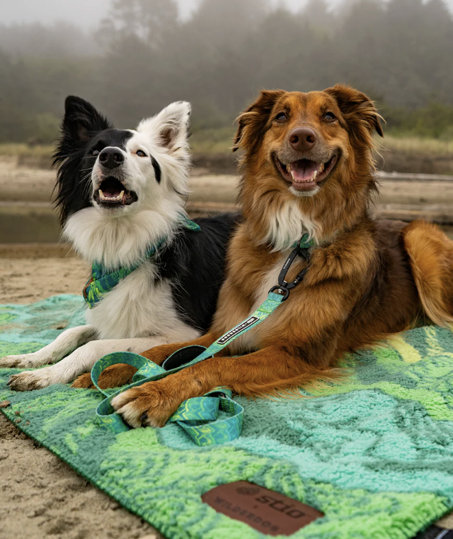 Stio Sherpa Dog Blanket