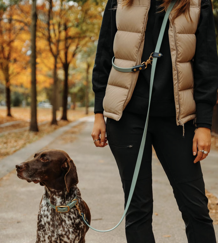 Hands Free Dog Leash
