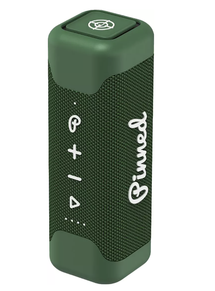 Pinned Golf Speaker
