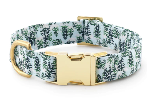 Foggy Dog collar