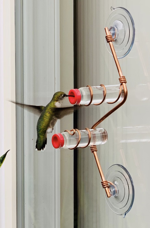Hummingbird Feeder