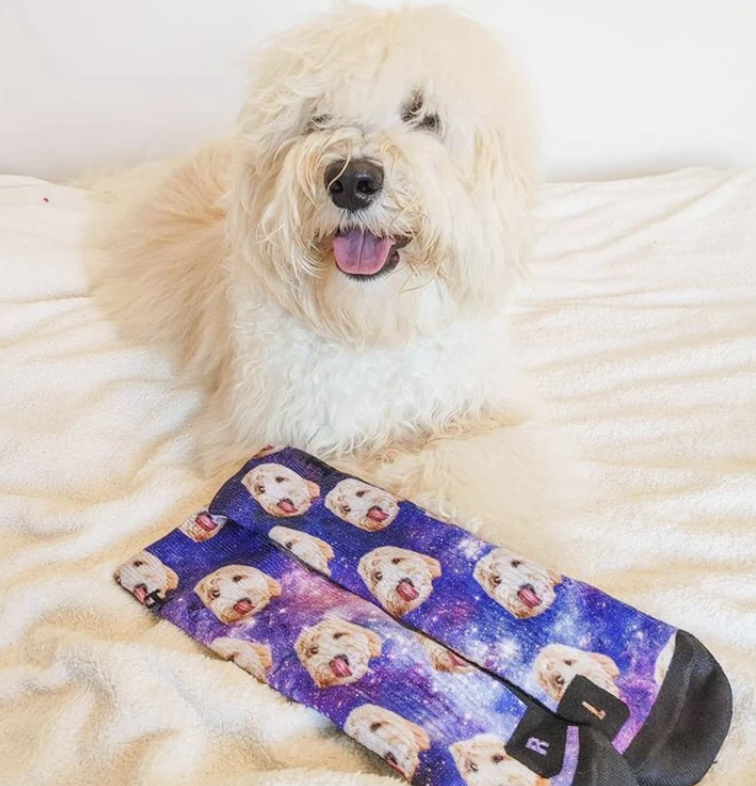 Custom Dog Socks