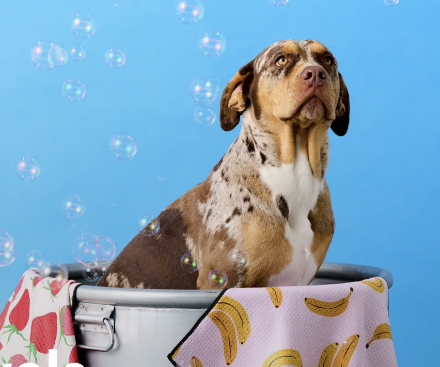 Geometry Dog Towel