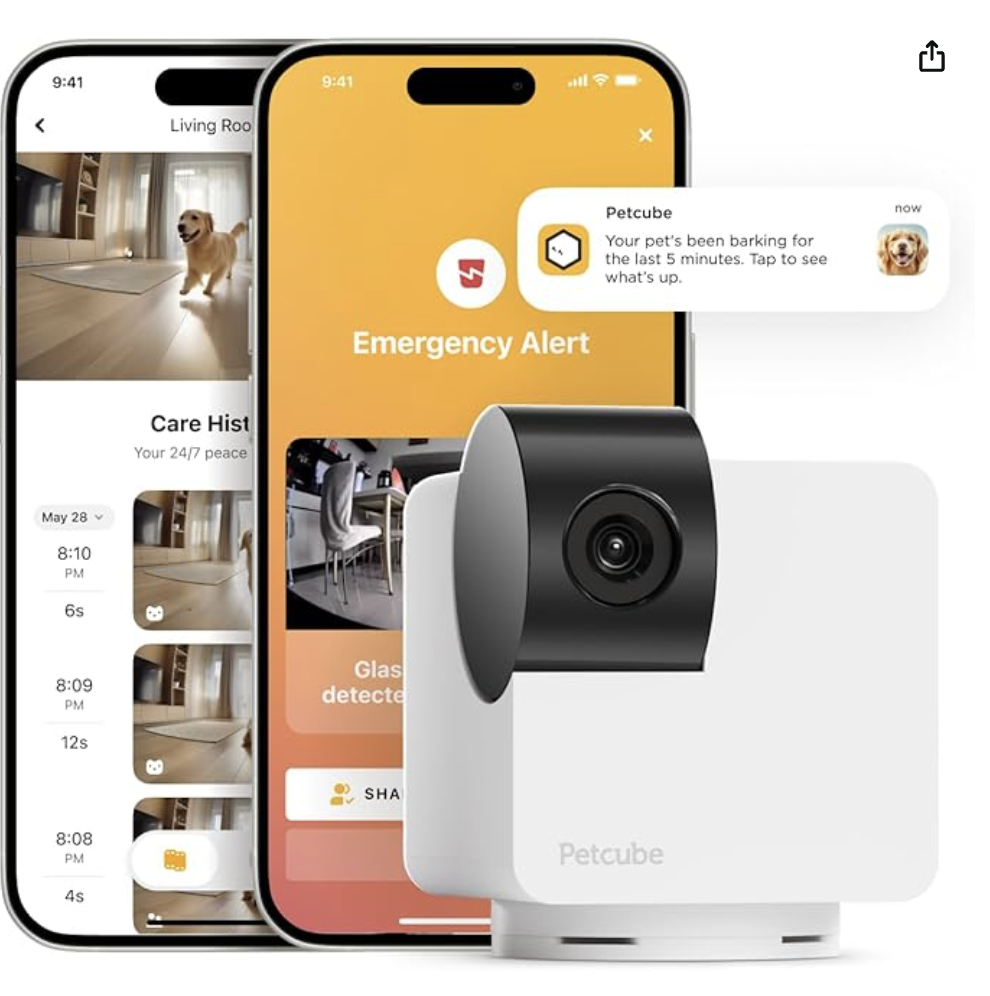 Pet Cube Camera
