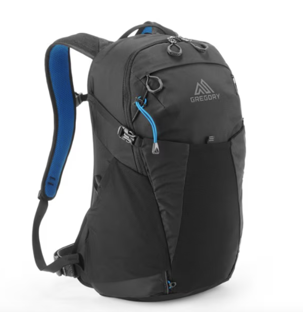 Gregory 24L Pack