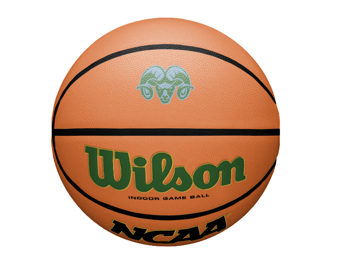 Custom Wilson Basketball