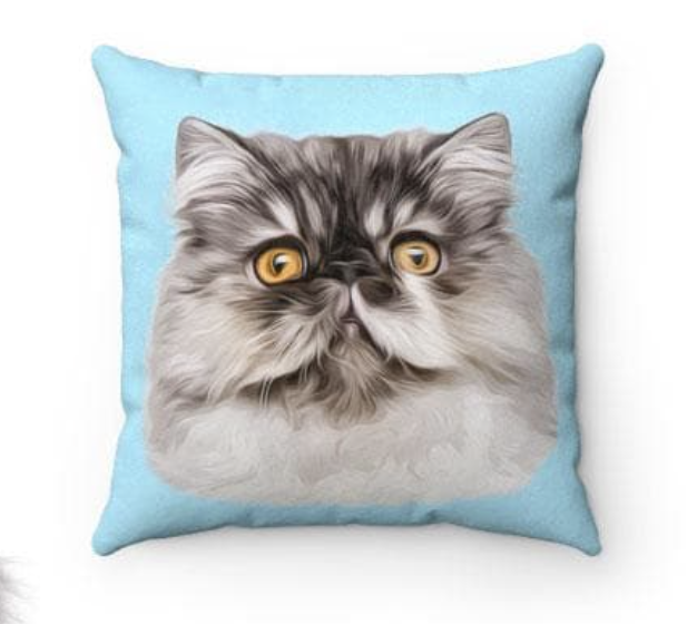 Pet Pillow 