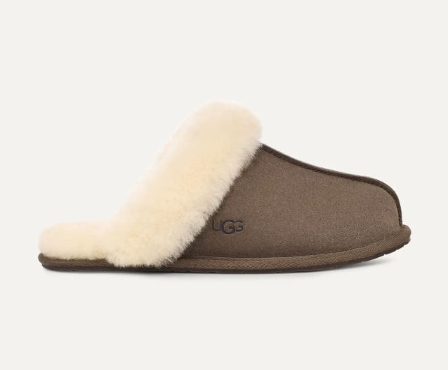UGG Slippers