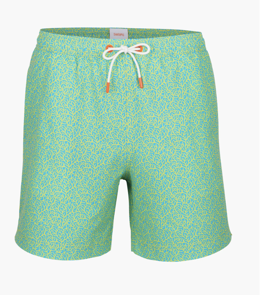 Sol Swim Shorts