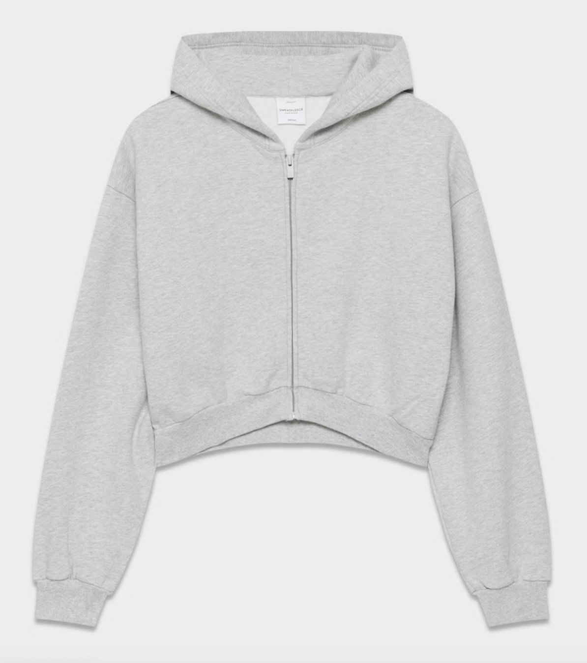 Aritzia Mega Fleece Hoodie