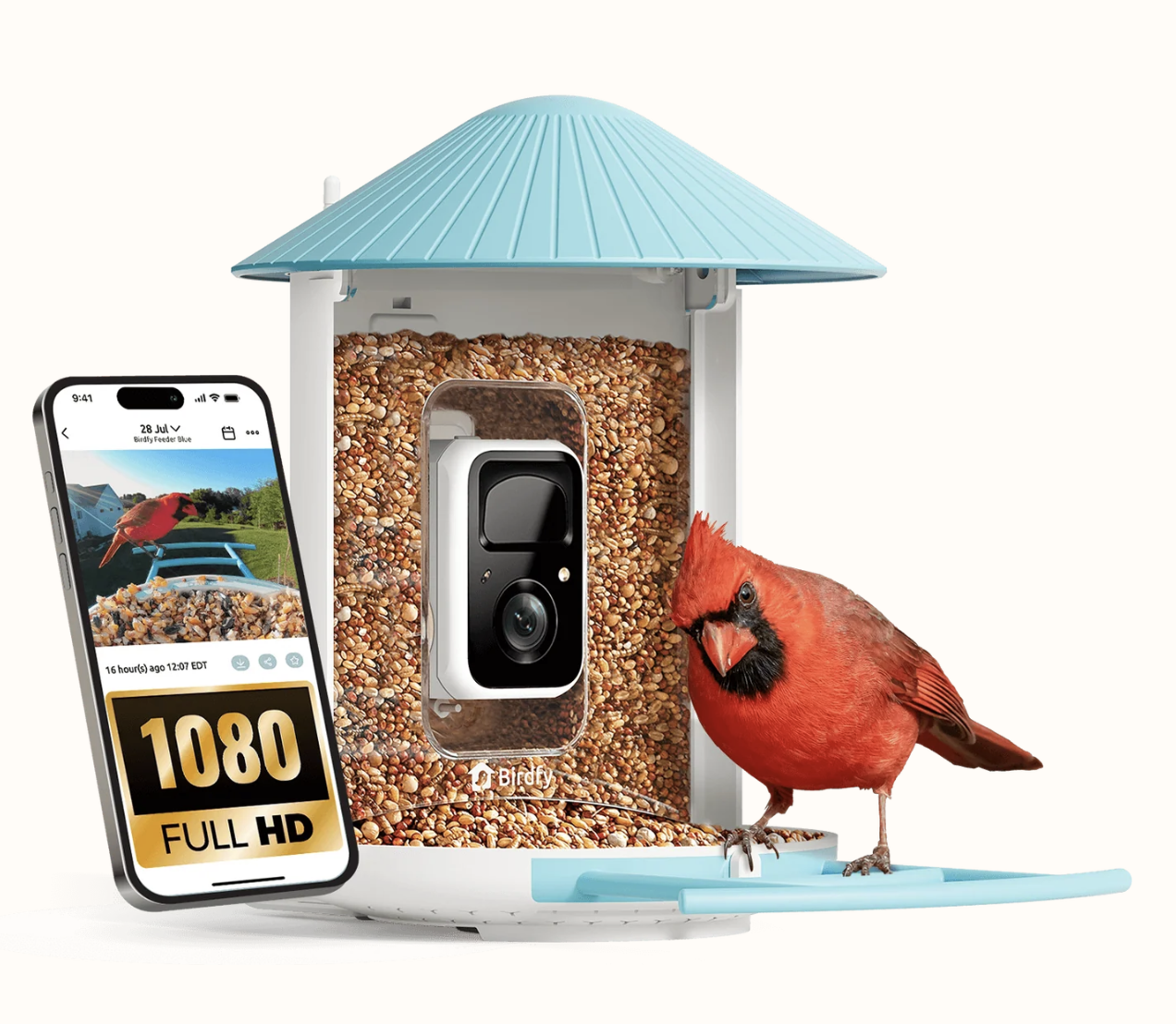 Birdfy Feeder