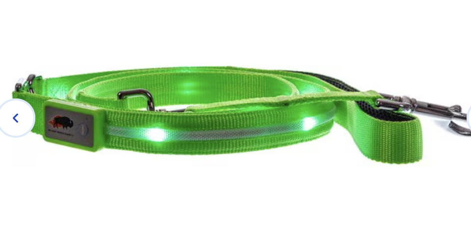 Blazin LED Dog Leash