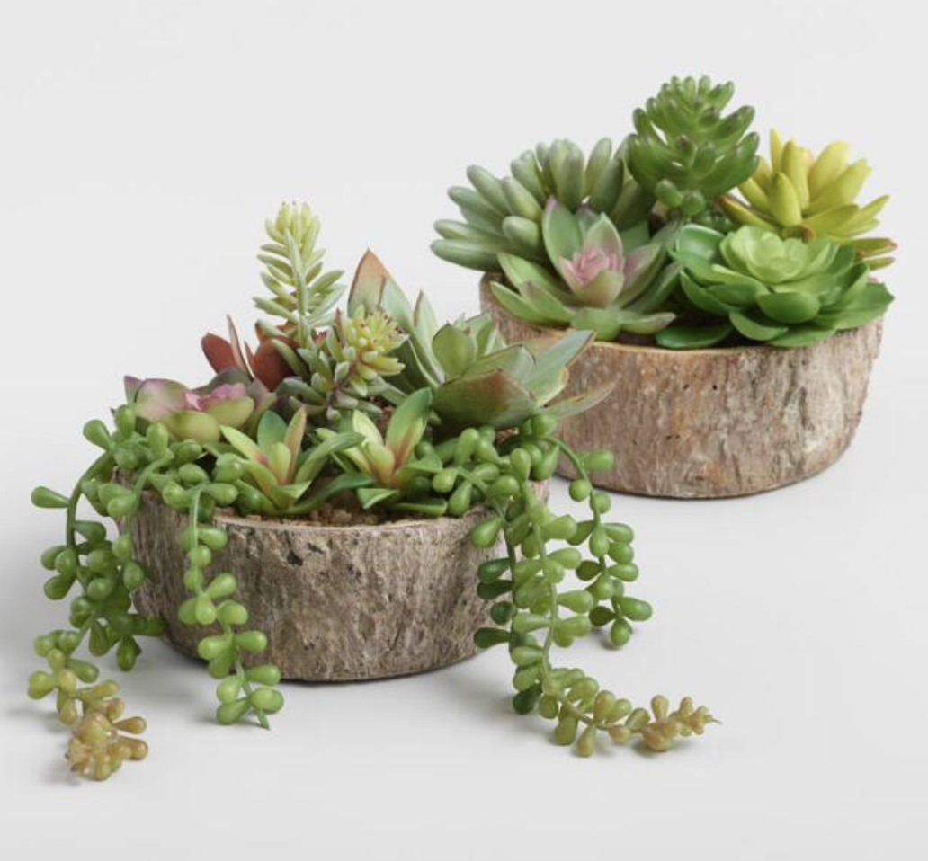Faux Succulents (Copy)