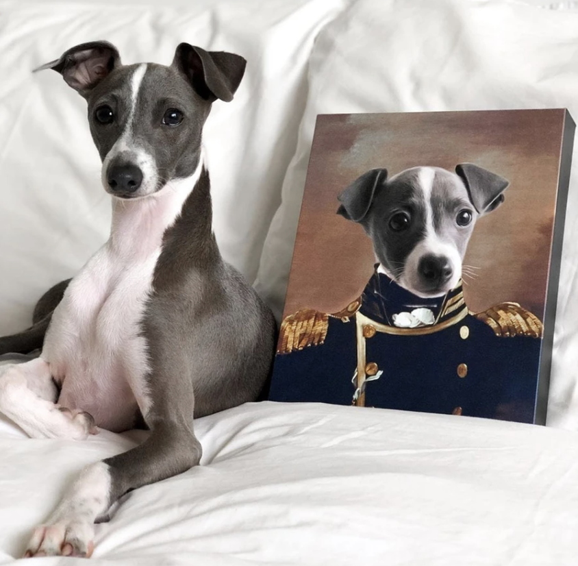 Custom Dog Portrait