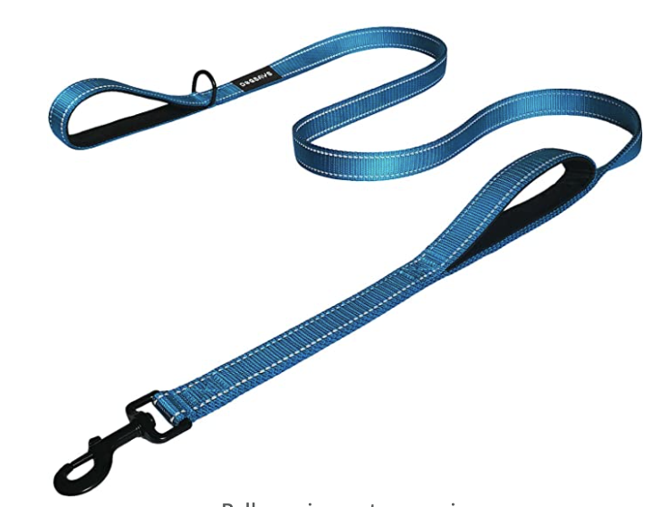 Dog Leash w/ 2 handles 