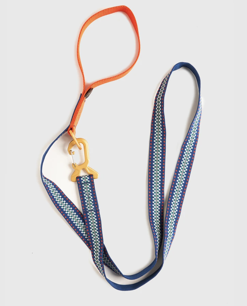 Dog Leash