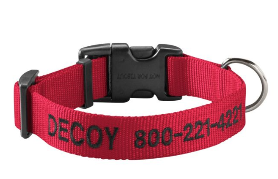 Custom Dog Collar 