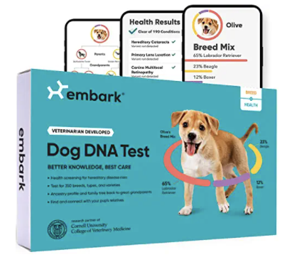 Embark DNA Test