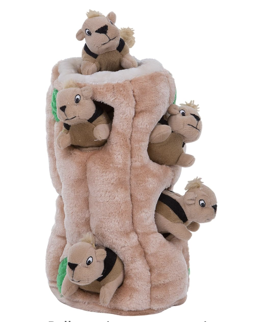 Hide a Squirrel Dog Toy