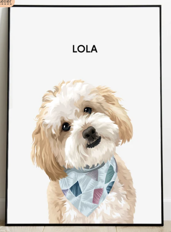 Pet Portrait