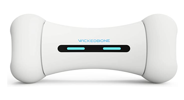 Wicked Bone - Interactive Dog Toy