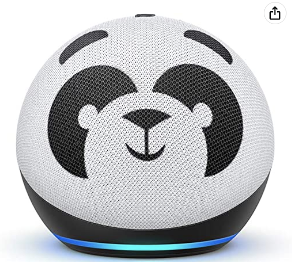 Kid's Echo (Copy)