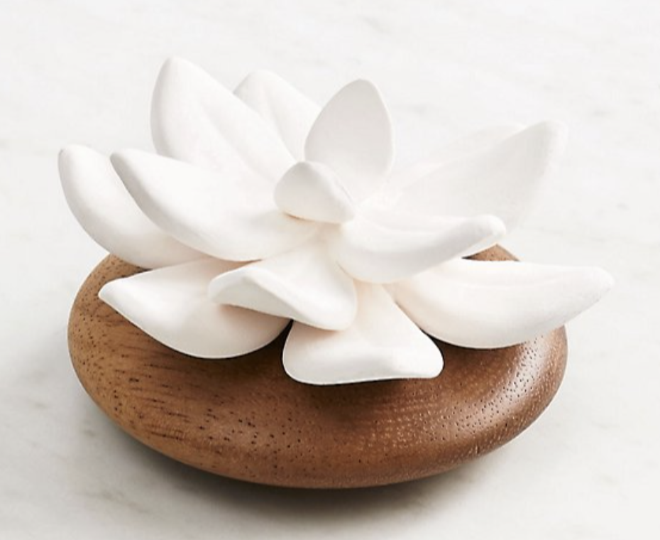 Lemongrass Succulent (Copy)