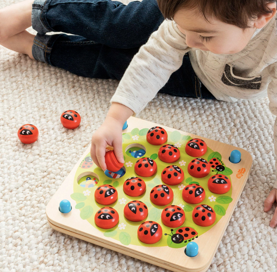 Lady Bug Memory Game