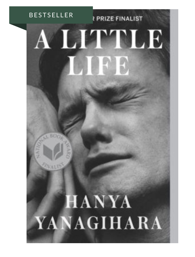 A Little Life (Beautiful and Heartbreaking!) (Copy)